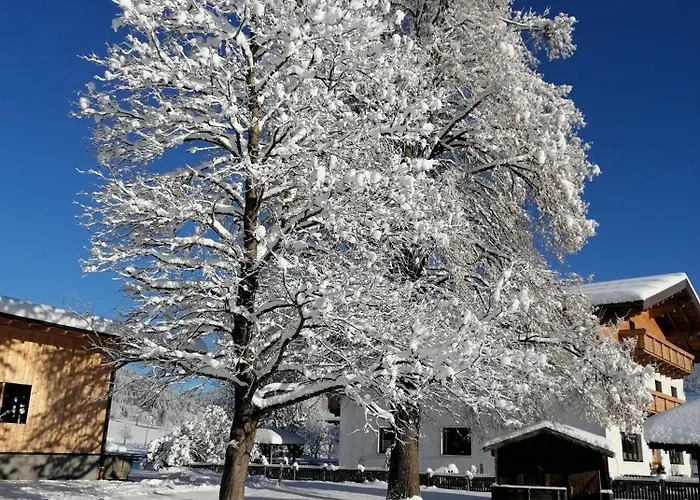 Schuettbachhof * Flachau